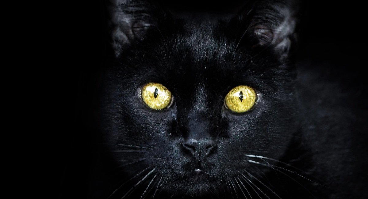 Supersticiones del martes 13 generan viralidad mundial